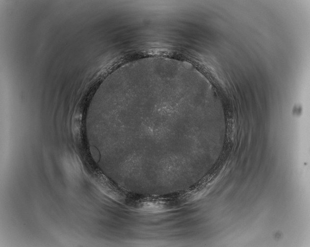 X0000099410263200805161029