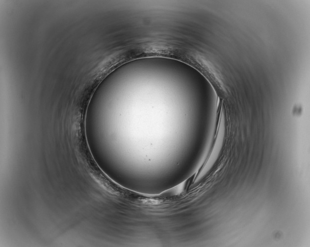 X0000099410265200805161029