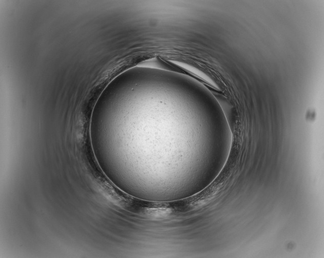X0000099410266200805161029