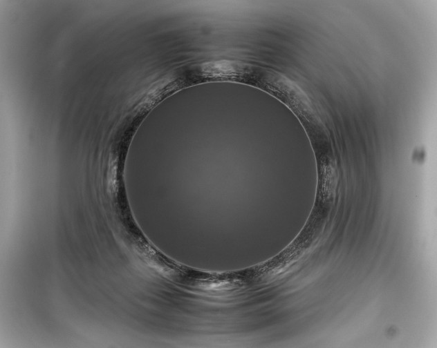 X0000099410267200805161029