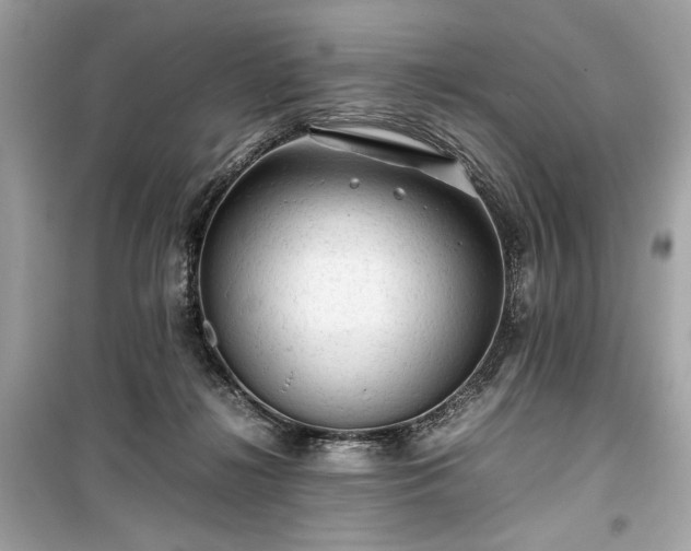 X0000099410268200805161029