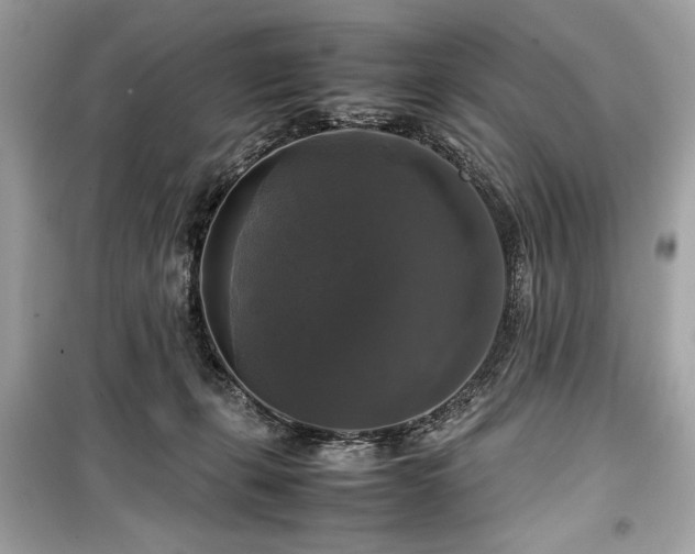 X0000099410271200805161029