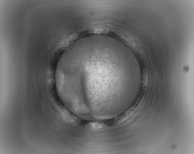 X0000099410272200805161029