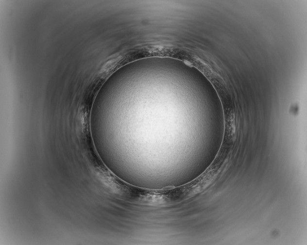 X0000099410276200805161029