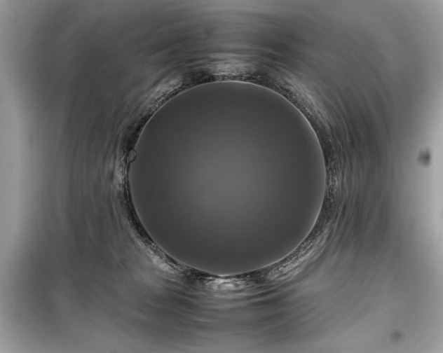 X0000099410277200805161029