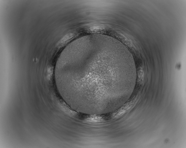X0000099410278200805161029