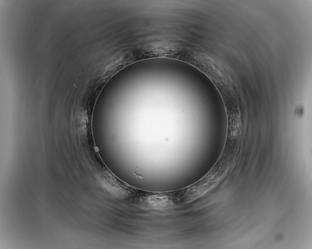 X0000099410279200805161029