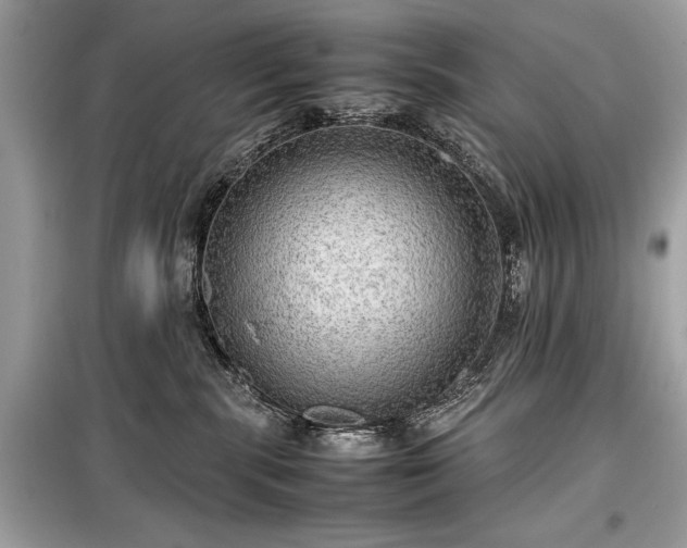 X0000099410283200805161029