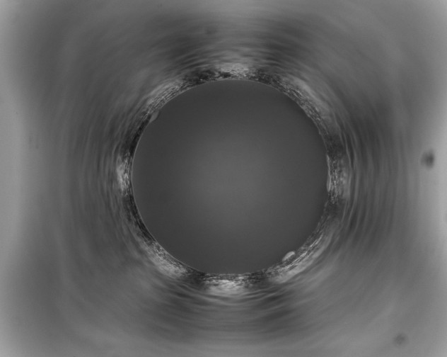 X0000099410285200805161029