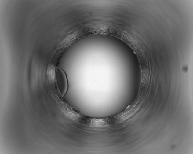 X0000099410287200805161029