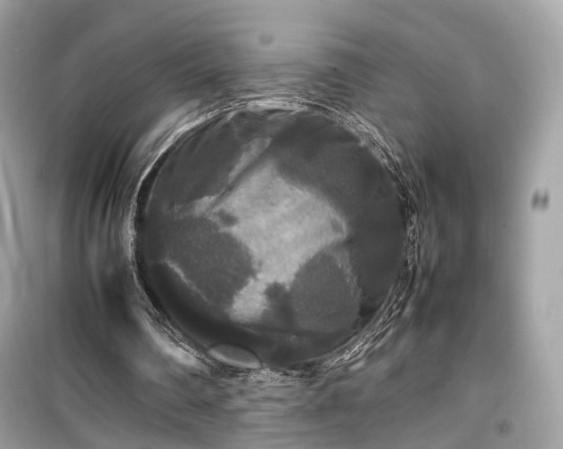 X0000099410290200805161028