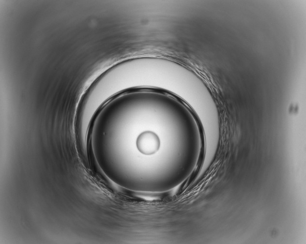 X0000099410292200805161028