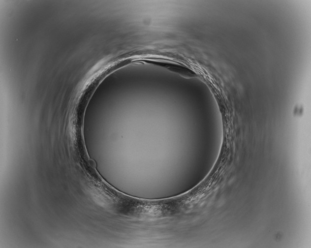 X0000099410295200805161028