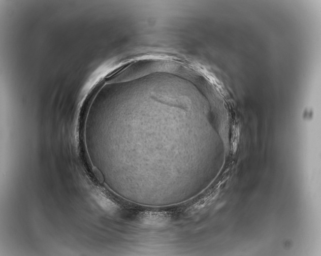 X0000099410296200805161028