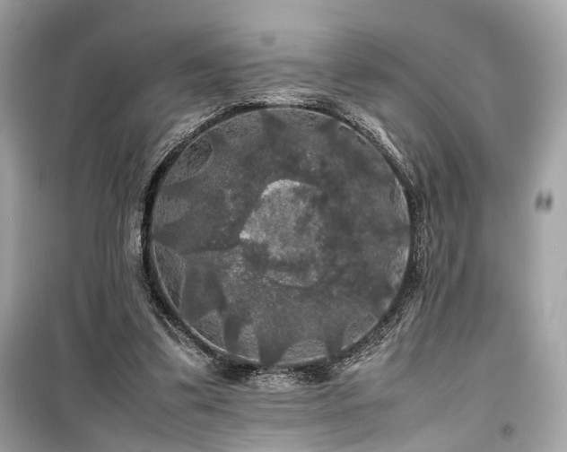 X0000099410299200805161028