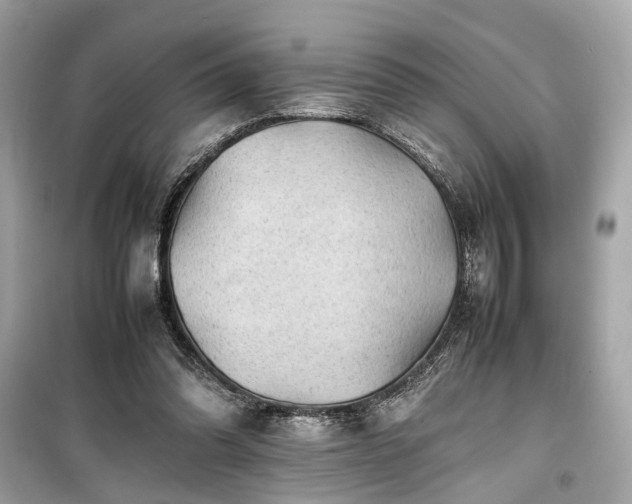 X0000099410302200805161028