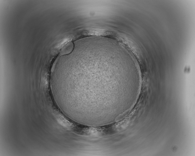 X0000099410305200805161028