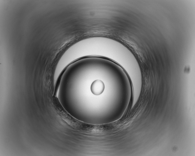 X0000099410308200805161028
