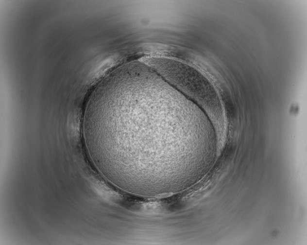 X0000099410309200805161028