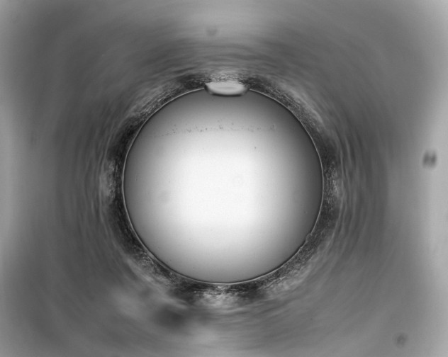X0000099410311200805161028