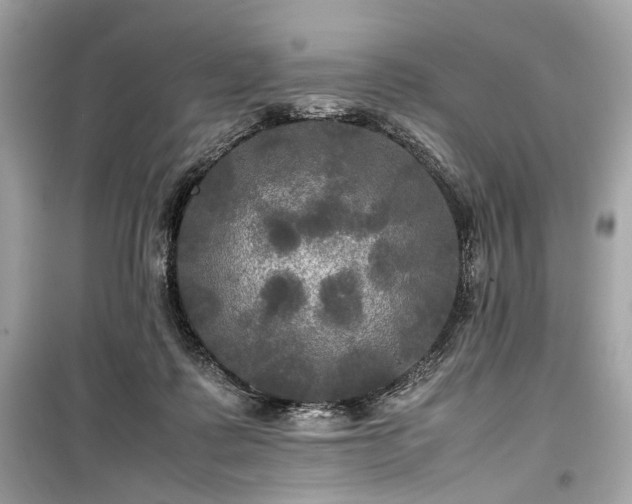 X0000099410315200805161028