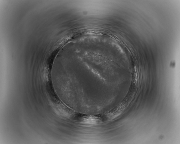 X0000099410316200805161028