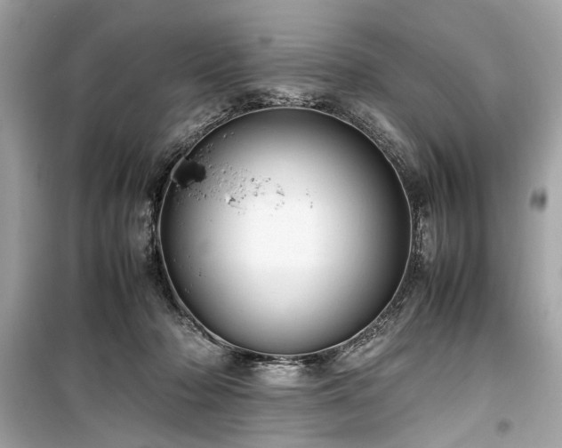 X0000099410318200805161028