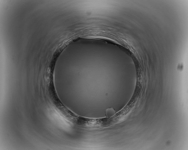 X0000099410319200805161028