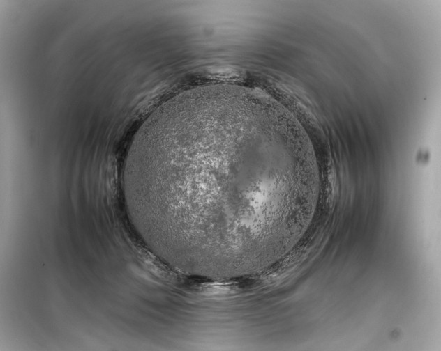 X0000099410320200805161028