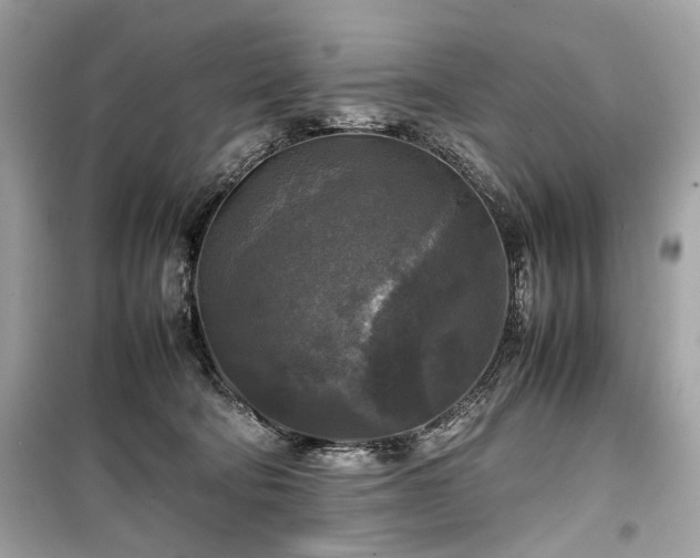 X0000099410322200805161028