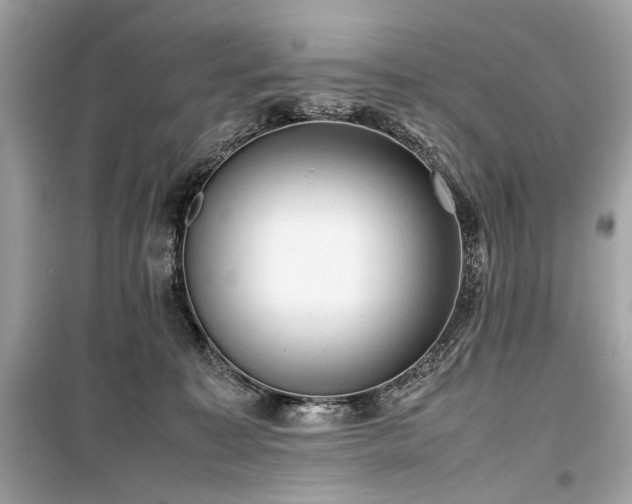 X0000099410323200805161028