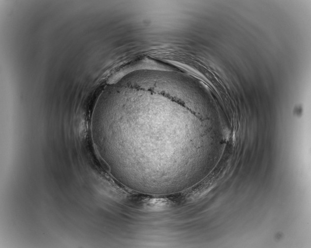 X0000099410324200805161028