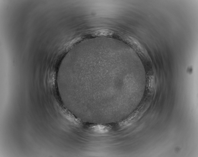 X0000099410326200805161028