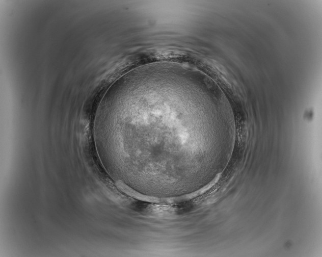 X0000099410327200805161028