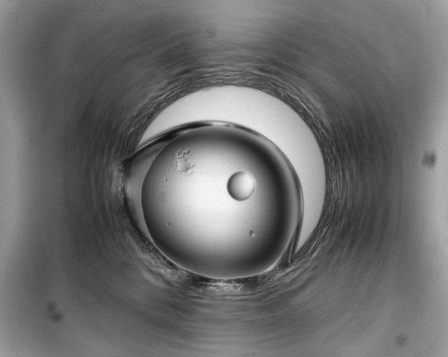 X0000099410328200805161028