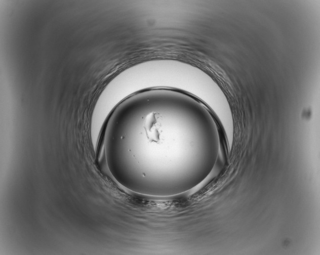 X0000099410329200805161028