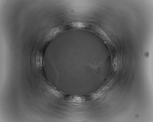 X0000099410330200805161028