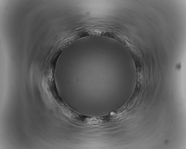 X0000099410331200805161028