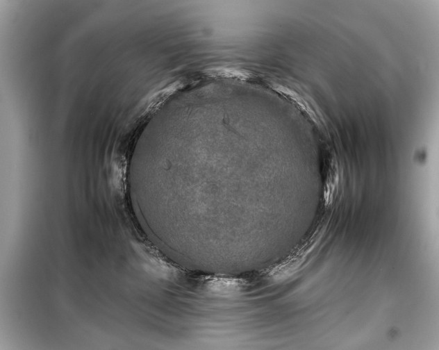 X0000099410332200805161028