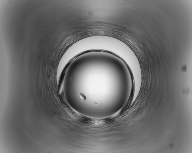X0000099410333200805161028
