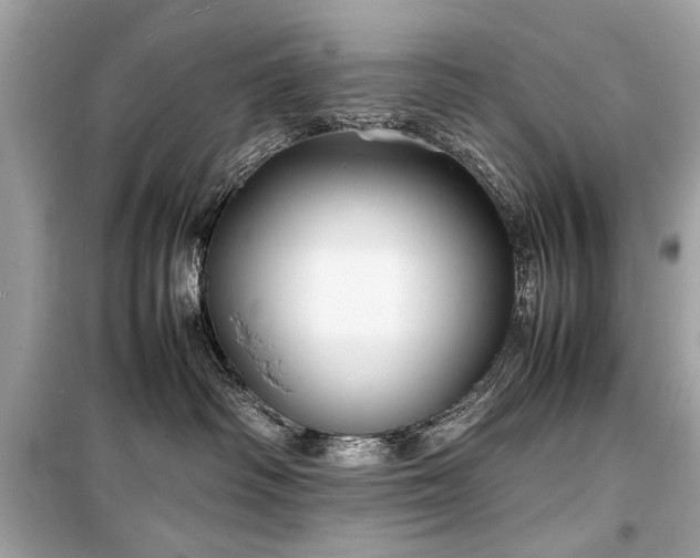 X0000099410334200805161028