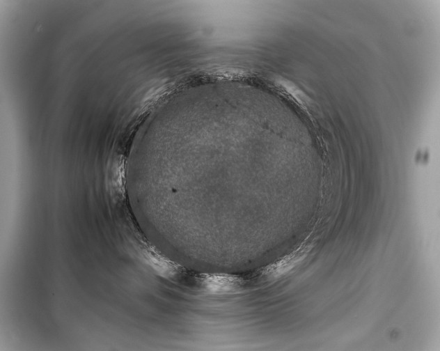 X0000099410336200805161028