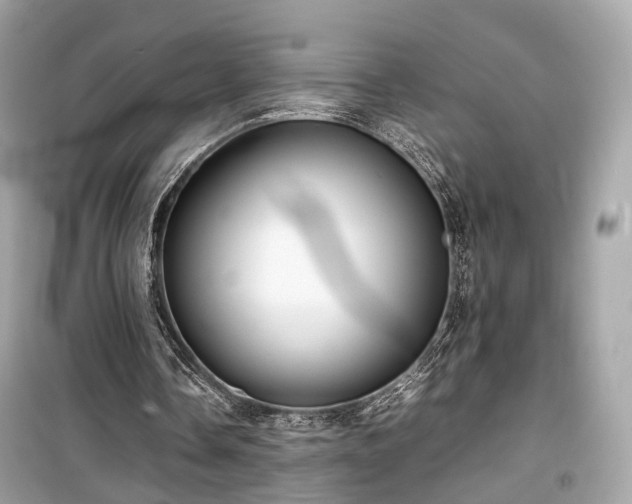 X0000099410338200805161027