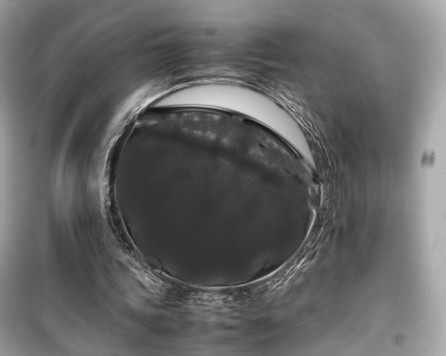 X0000099410339200805161027