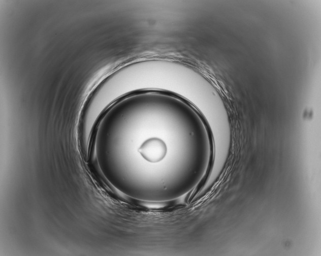 X0000099410340200805161027