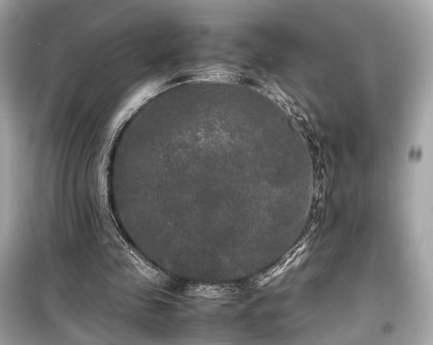 X0000099410341200805161027