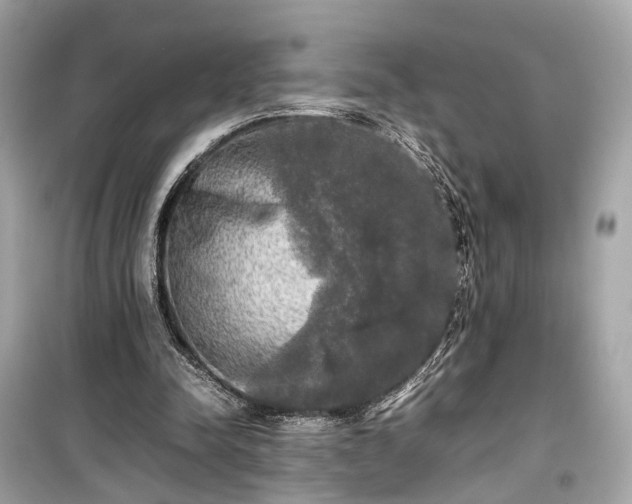 X0000099410342200805161027