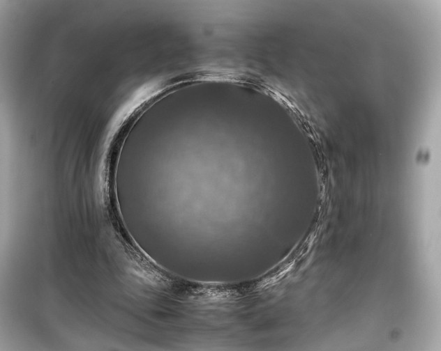 X0000099410343200805161027