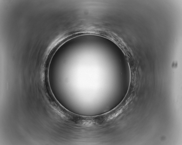 X0000099410344200805161027
