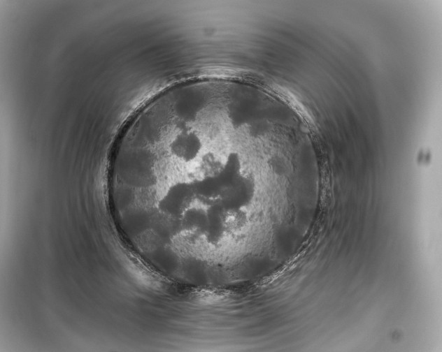 X0000099410346200805161027